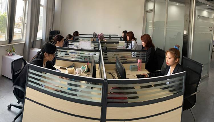 Xingying sales team members are working seriously.